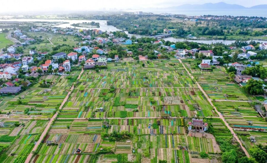 Hoi An: Rural Cycling Tour to Village with Basket Boat Ride - What the $27 price includes