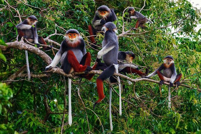 Hue to Dn/Hoi An: Hai Van Pass, beaches & Mt Monkey or vice versa - Who should book this private road day