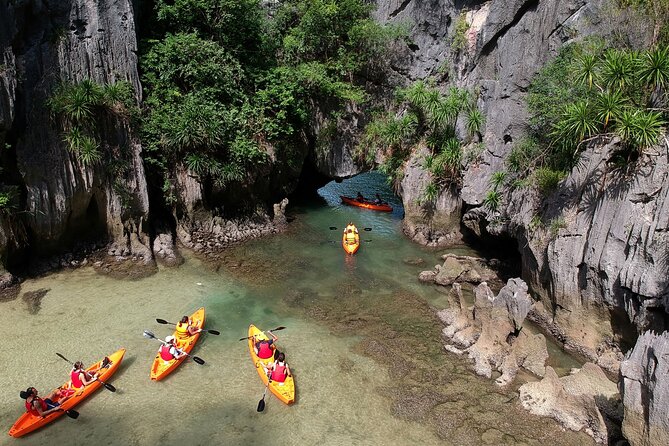 Kayaking at Lan Ha Bay - Wildlife watching between the islands