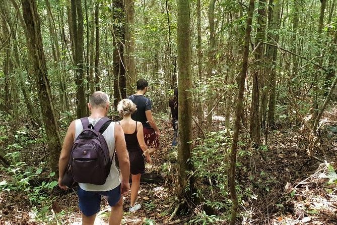 Land Tour 2: Discover the North - Kayaking & Starfish beach Phu Quoc (Not Lunch) - Guides, transport, and the day’s rhythm