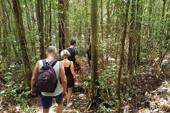Land Tour 2: Discover the North - Kayaking & Starfish beach Phu Quoc (Not Lunch) - What the $44 price really covers