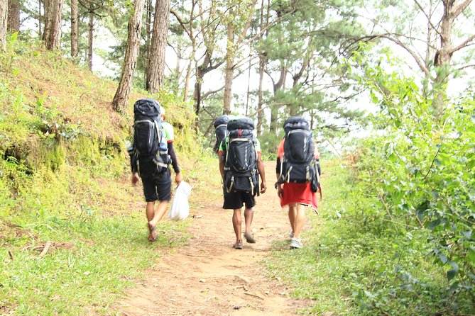 Langbiang Green Trekking Tours - Signature Trekking Da Lat - Starting in Da Lat and reaching the forest