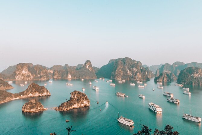 LIKE A BOSS-Luxury options-2d/1n All inclusive in Halong Bay - What this Halong Bay cruise is really offering