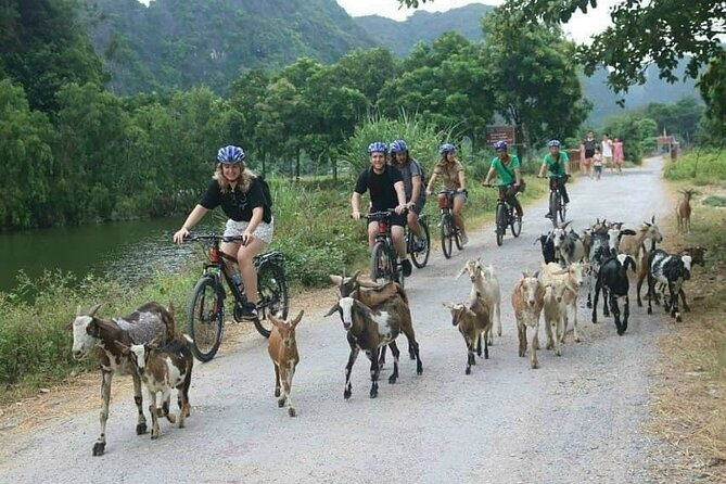 Luxury small Group Hoa Lu - Tam Coc - Mua Cave Max 6 - 8 pax/tour - What the $75 price includes