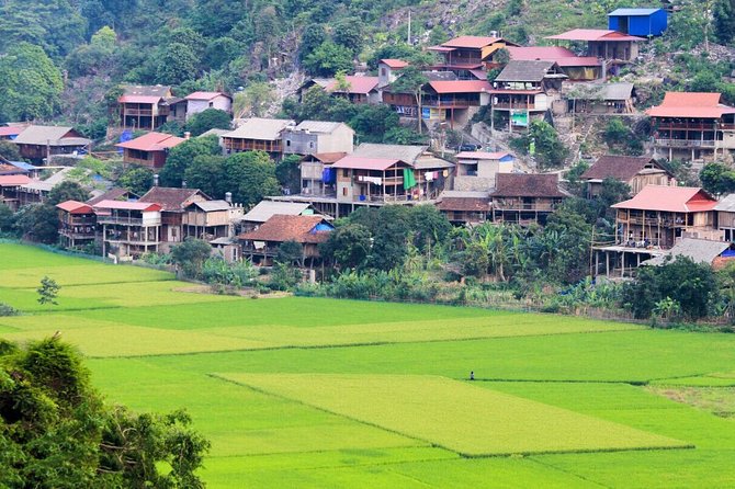 Majesty Of Untouched Northern Vietnam Tour 6 Days - Hotels, homestays, meals, and comfort
