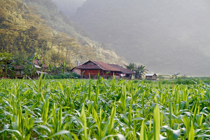 Majesty Of Untouched Northern Vietnam Tour 6 Days - Is $766.09 good value?