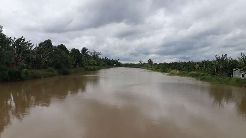 Mekong Day Tour by Car:Cai Be market, Local Island & Cycling - Who should book this Cái Bè day?