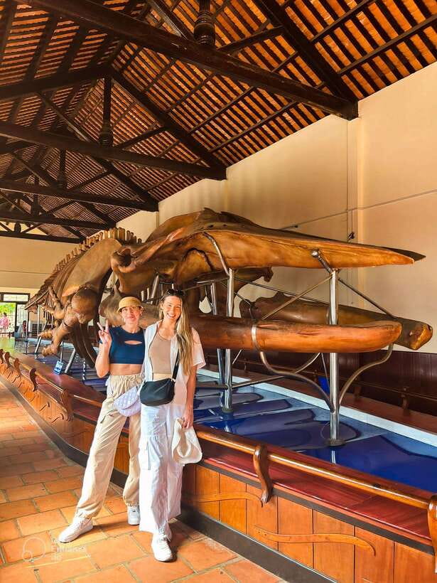 Mui Ne: Best day to Ta Cu Mountain Cable Car & Lying Buddha - Does $74 offer good value?