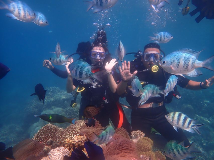 Nha Trang: Scuba Diving Experience for Non-Certified Divers - What the Nha Trang beginner session is really like