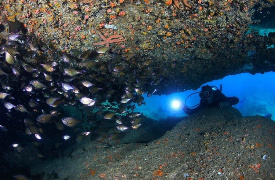 Nha Trang: Scuba Diving Experience for Non-Certified Divers - Should you book this Nha Trang scuba experience?