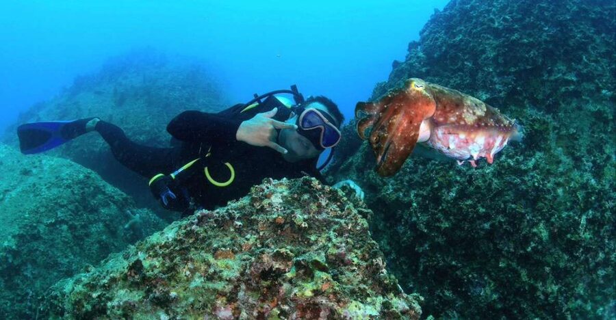 Nha Trang: Scuba Diving Experience for Non-Certified Divers - What $54 includes, and what it does not