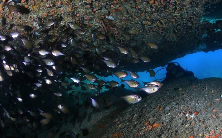 Nha Trang: Scuba Diving Experience for Non-Certified Divers - Learning the equipment before your first descent