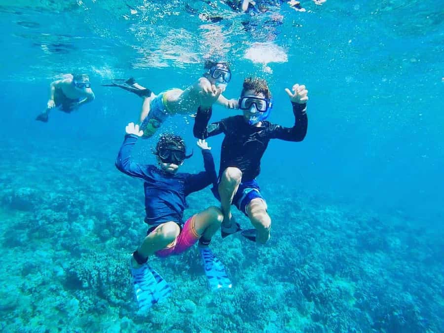 Nha Trang: Snorkeling Tour with BBQ Lunch at Coral Reef - Key points to know before booking