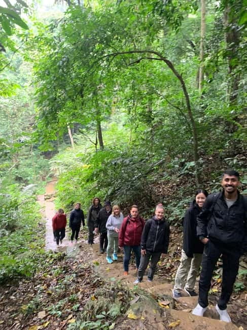 Ninh Binh: Cuc Phuong Jungle Hike & Wildlife Day Trip - What wildlife you are likely to see