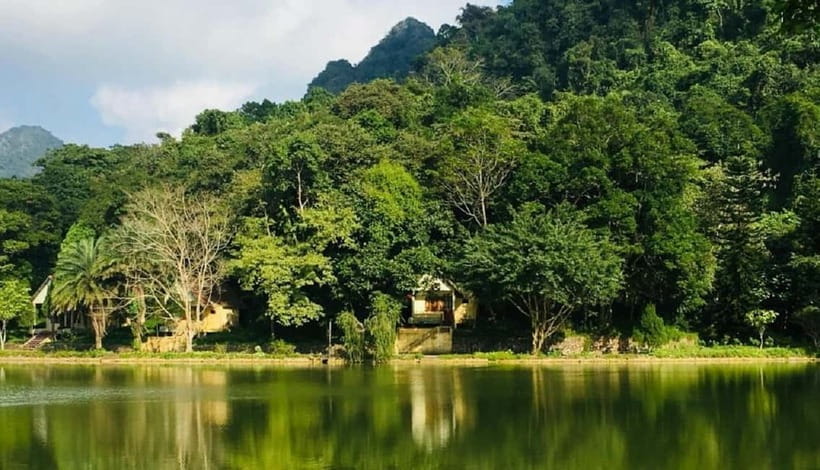 Ninh Binh : Cuc Phuong National Park One Day Group Tour - The Endangered Primate Rescue Center