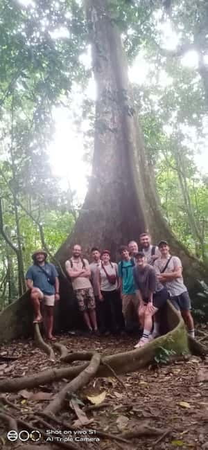 Ninh Binh : Cuc Phuong National Park One Day Group Tour - A short botanical garden visit
