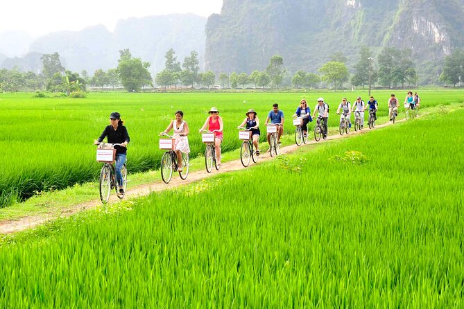 Ninh Binh full day-Hoa Lu temple & biking, Tam Coc boat trip, Dragon mountain - Hoa Lu and the Dinh and Le temples