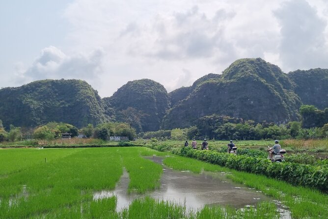 Ninh Binh HIGHTLIGHT & HIDDEN GEM Tour From Hanoi: Skip-The-Line - Scooter travel through villages and rice fields