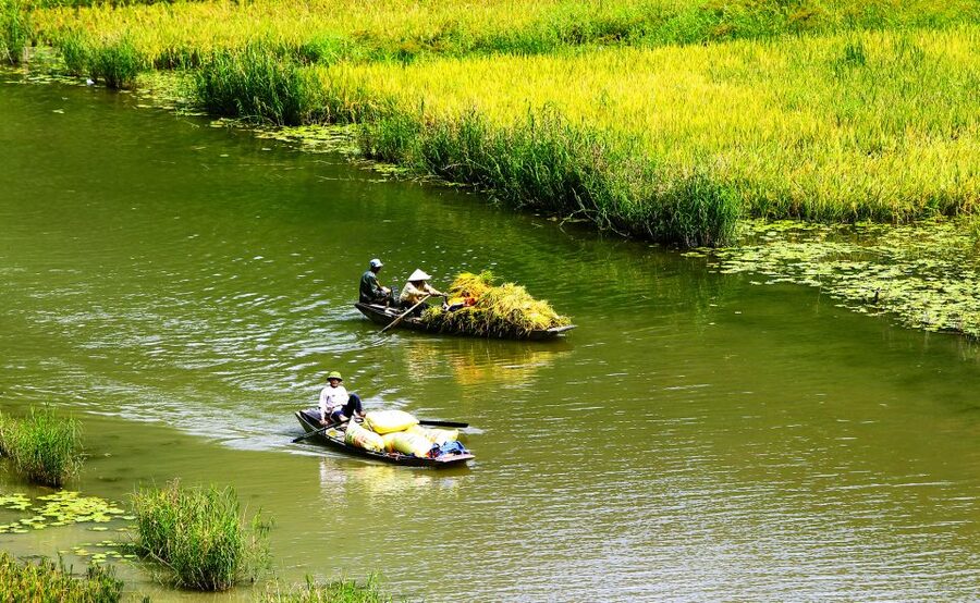 Ninh Binh: Hoa Lu, Trang An and Mua Caves Hiking Day Trip - Hoa Lu and Vietnam’s early royal story