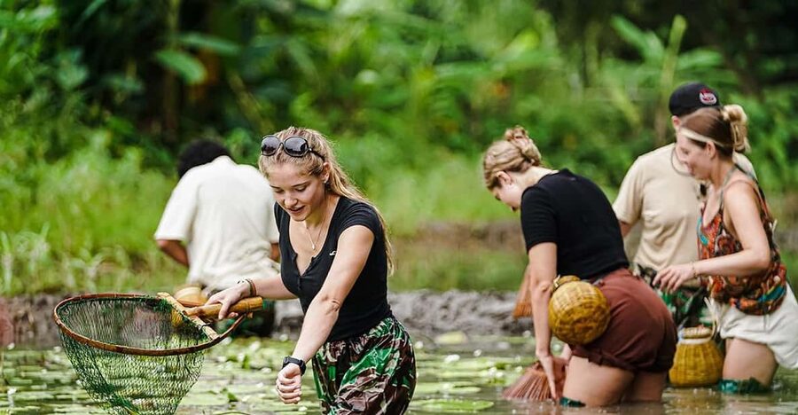 Ninh Binh: Rice planting and fishing by basket tour - Buffalo care comes before the fields