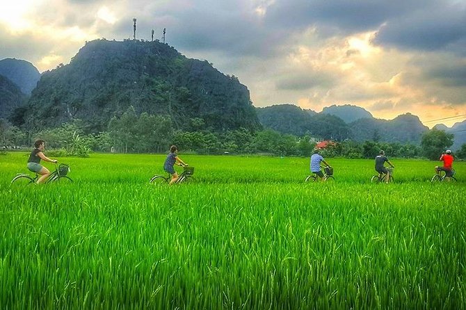 Ninh Binh Tour Bai Dinh Trang An Mua Cave Small Group Limousine - Mua Cave and the 500-step climb