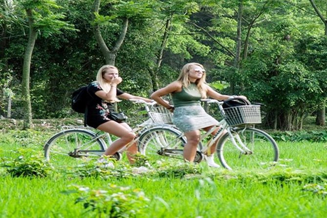 Ninh Binh Tour Hoa Lu Tam Coc Full Day: Biking,Boating,Tickets,Lunch, Limousine - A short bicycle ride through the countryside