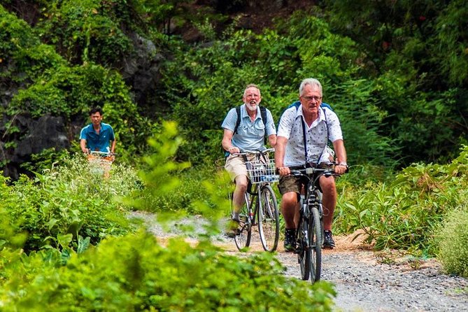 Ninh Binh Tour Hoa Lu Tam Coc Full Day: Biking,Boating,Tickets,Lunch, Limousine - Transport, group size, and timing