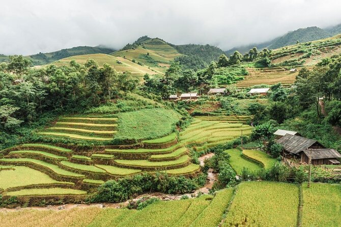 Number one top rated ethical cultural trekking and homestay by ETHOS - Why this Sapa trek feels different