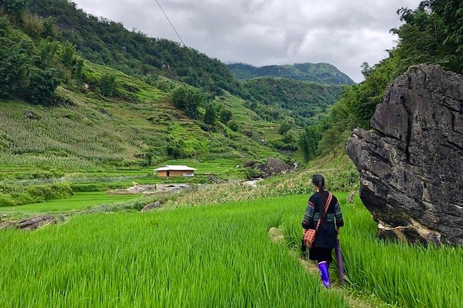 Number one top rated ethical cultural trekking and homestay by ETHOS - Lunch with your host family