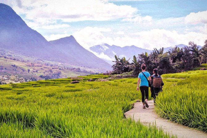 Number one top rated ethical cultural trekking and homestay by ETHOS - Day two: choose your own level of challenge