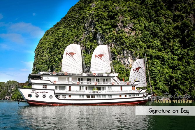(Official) Signature Halong Cruise - 03 days 02 nights program - Day 3: an early start and Thien Canh Son Cave