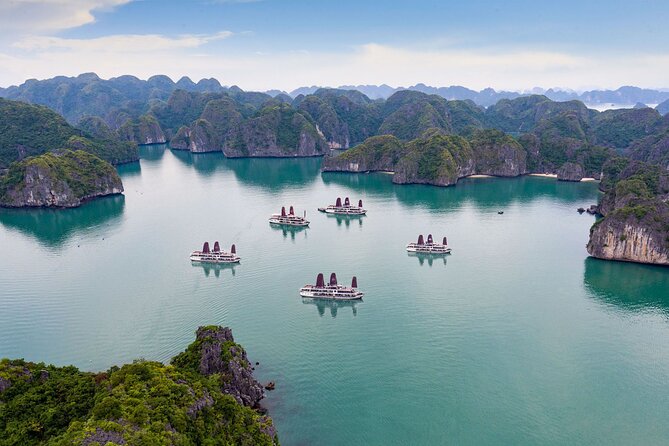 Orchid Trendy Cruises 2Days/1 Night 5 Star Cruises - Meals, service, and the people who make a difference