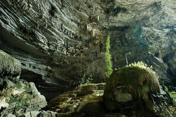 Phong Nha Cave - Paradise Cave Small Group Tour: All Inclusive - The essential points at a glance