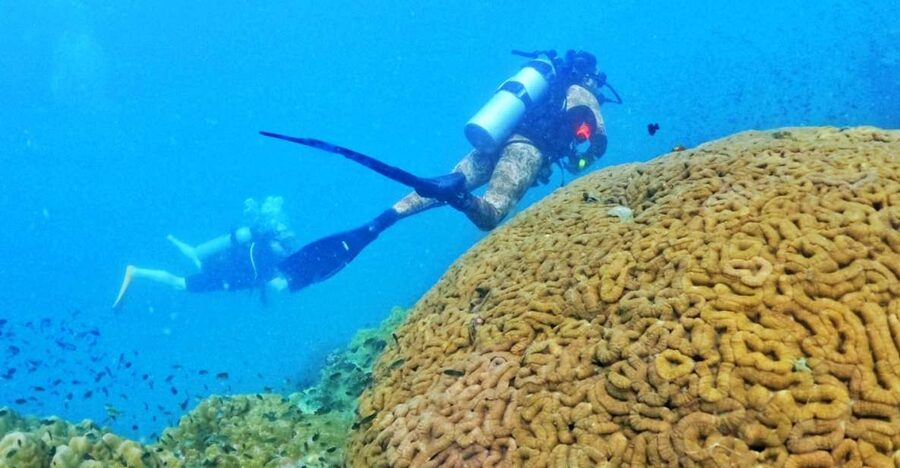 Phu Quoc: Scuba Diving Experience for All Levels - Key points to know before booking