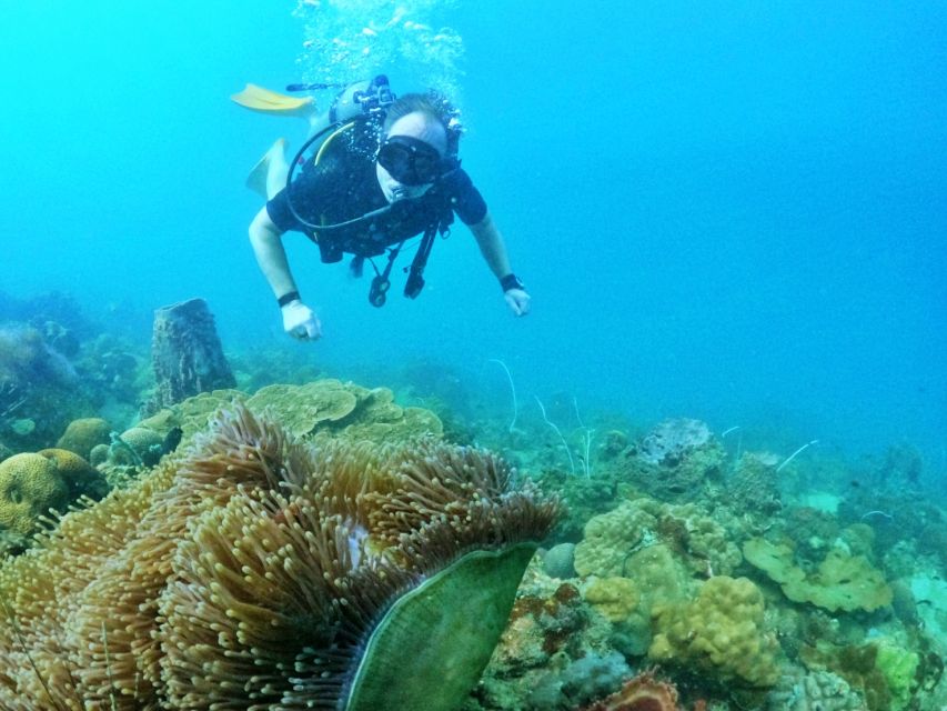Phu Quoc: Scuba Diving Experience for All Levels - Lunch on board from 11:00 to 12:00