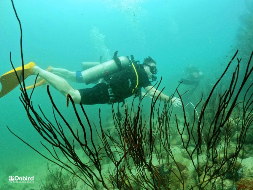 Phu Quoc: Scuba Diving Experience for All Levels - What the $102 price really covers