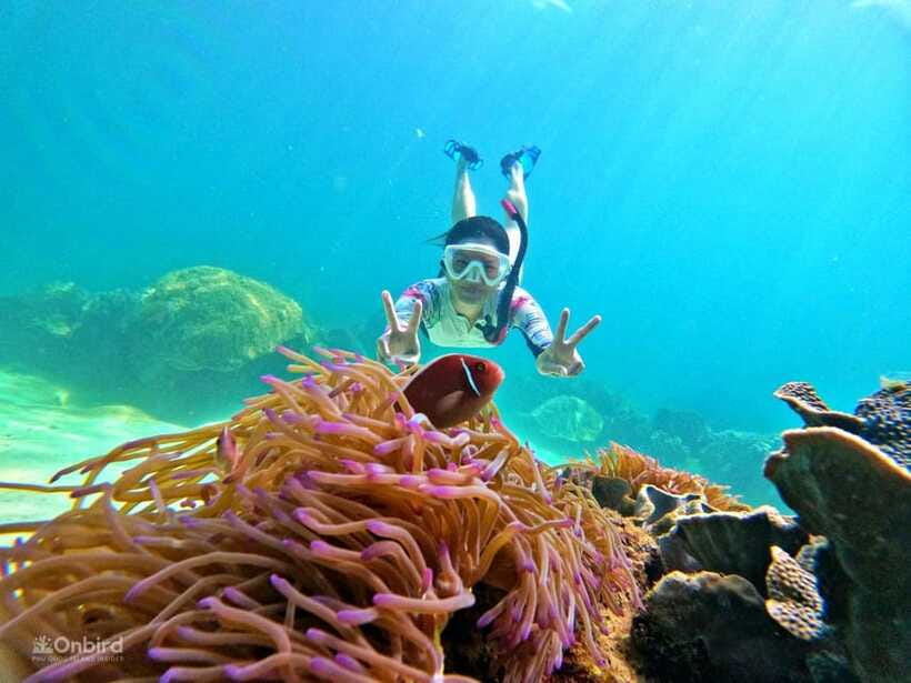 Phu Quoc: Speed Boat Tour 4 Islands - 2 Reefs Snorkeling - The two coral reefs and what you may see
