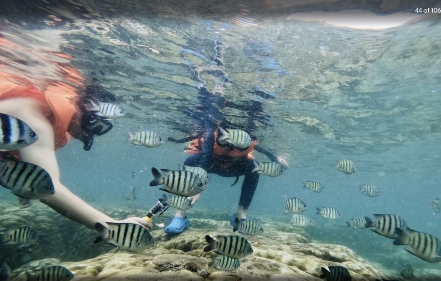 Phu Quoc: Speedboat Tour of 4 Islands with Snorkeling & BBQ - Should you book it?
