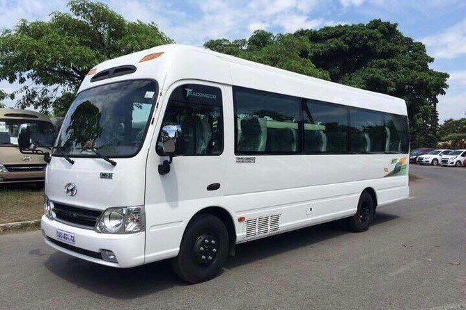 Private Arrival Transfer: Tan Son Nhat Airport to Ho Chi Minh City Hotels - Who should book this airport transfer?