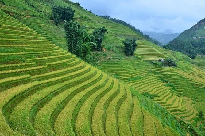 Private Car and Tour Guide Exploring Northern Vietnam - Private transport, group size, and comfort