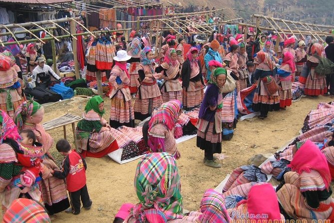 Private Car and Tour Guide Exploring Northern Vietnam - Food, hotels, and local contact