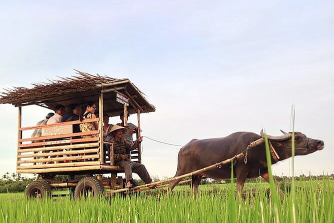 Pu Luong 3-Day Adventure: Trekking, Cycling & Local Cooking Class - Day 1: The long road from Hanoi or Ninh Binh