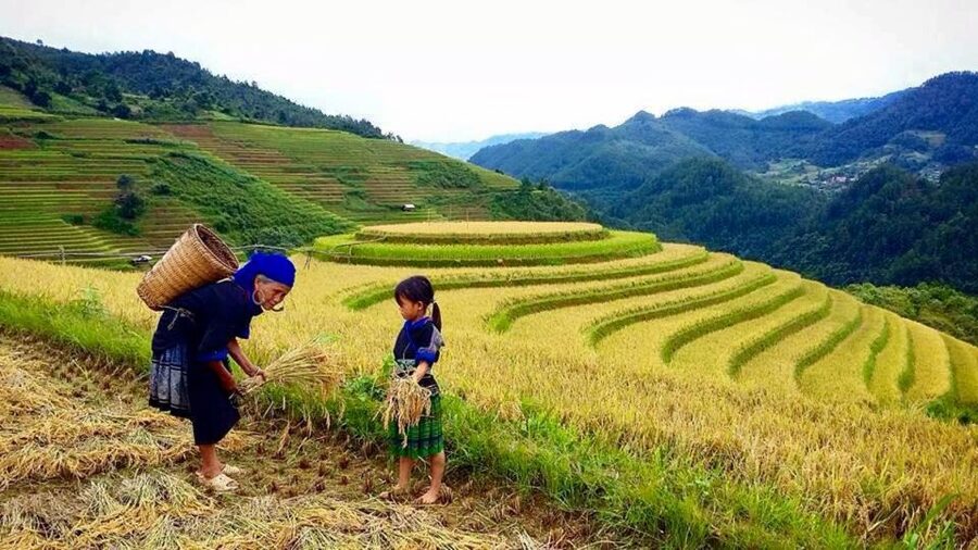 Sa Pa: 6-Hours Muong Hoa Valley Trek with Local Ethnic guide - Why this Sa Pa trek feels more personal