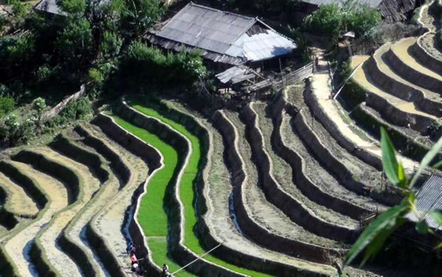 Sa Pa: 6-Hours Muong Hoa Valley Trek with Local Ethnic guide - Fitness, weather, and what to pack