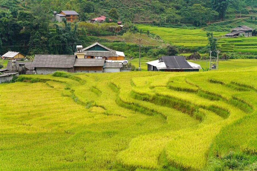 Sa Pa: Half-Day Cat Cat Village Hike to Meet H'mong People - What this Sa Pa walk is really like