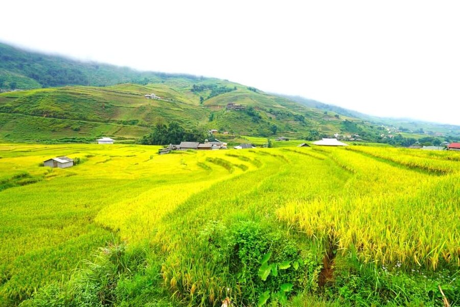 Sa Pa: Half-Day Cat Cat Village Hike to Meet H'mong People - Should you book the Cat Cat Village hike?