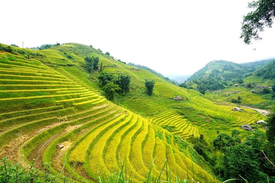 Sa Pa: Half-Day Cat Cat Village Hike to Meet H'mong People - Who will enjoy this Cat Cat outing?