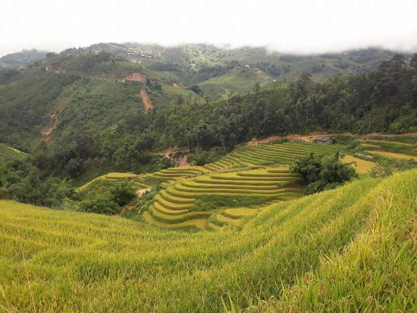 Sa Pa: Muong Hoa Valley Trek and Local Ethnic Villages - Key points before you book