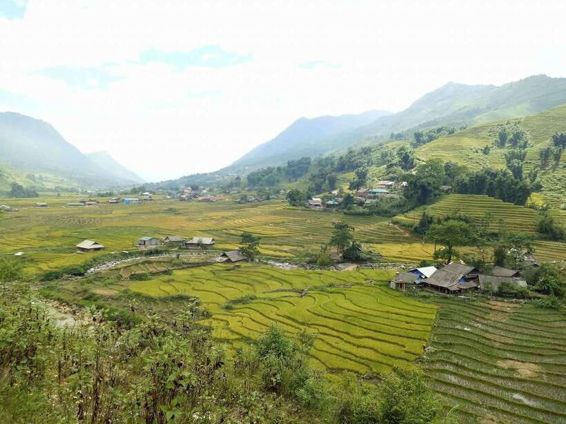 Sa Pa: Muong Hoa Valley Trek and Local Ethnic Villages - Who should book this Sa Pa walk?