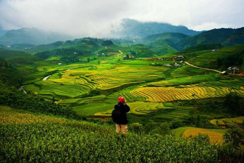 Sa Pa: Muong Hoa Valley Trek and Local Ethnic Villages - Bamboo forest and Giang Ta Chai